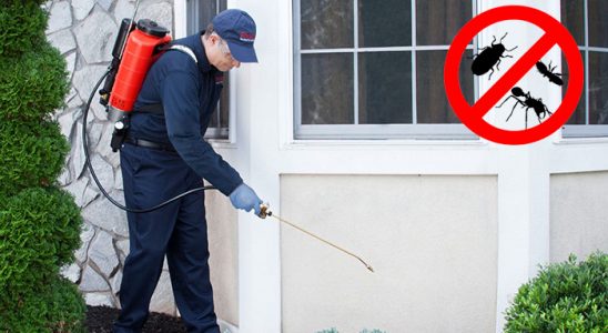 Burdur Kene İlaçlama böcek ilaçlama ve haşere kontrolü — ilaclama-tr.com
